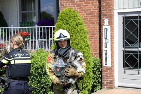 Hondje en vogeltje gered uit woning vol rook aan het Hertog Janpark Waalwijk
