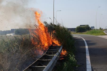 Bermbrand langs Midden-Brabantweg in Waalwijk zorgt voor verkeershinder