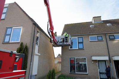 Brandweer redt kauwtje uit hachelijke positie aan de Mede