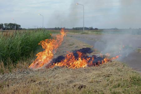Kleine bermbrand aan de Weteringweg snel geblust