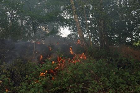 Natuurbrand bij Het Lido mogelijk veroorzaakt door vuurwerk