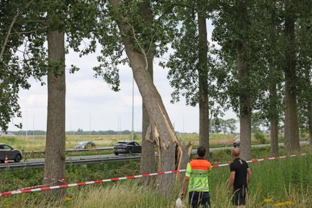 Snelweg A59 in beide richtingen volledig dicht door dreigend boomgevaar bij Winterdijk