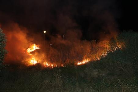 Metershoge vlammen bij bermbranden langs Gaardpad: Politie gaat uit van brandstichting