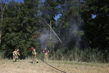 Snelle inzet van brandweer voorkomt grote bosbrand aan Mannenbeemdweg