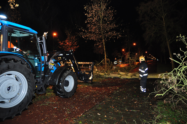 Grote boom op wegdek aan de Akkerlaan Waalwijk