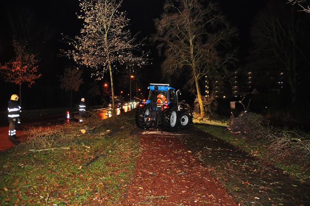 Grote boom op wegdek aan de Akkerlaan Waalwijk