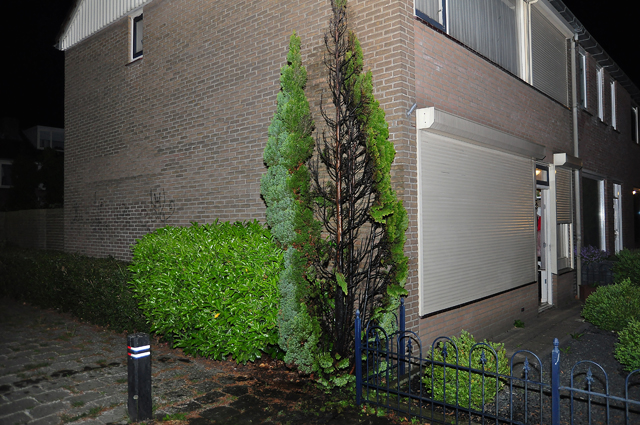 Conifeer in brand aan de Prof. Kranenburgstraat Waalwijk