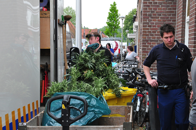 Flinke hennepkwekerij geruimd aan de Crispijnstraat Waalwijk