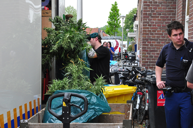 Flinke hennepkwekerij geruimd aan de Crispijnstraat Waalwijk