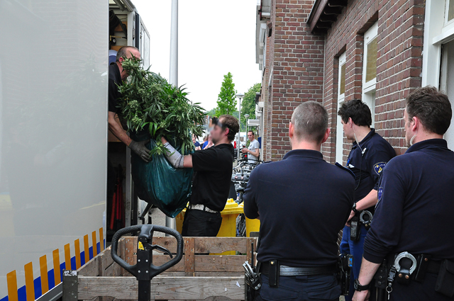 Flinke hennepkwekerij geruimd aan de Crispijnstraat Waalwijk