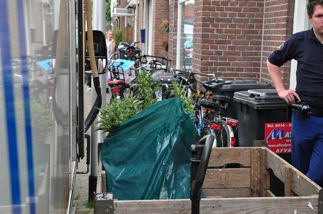 Flinke hennepkwekerij geruimd aan de Crispijnstraat Waalwijk