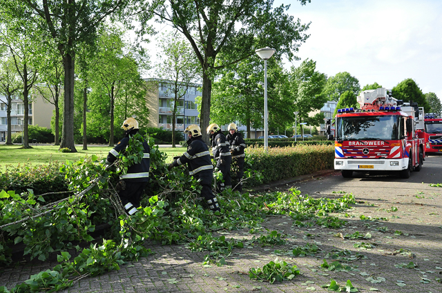 Grote tak op wegdek aan de Baardwijksestraat Waalwijk