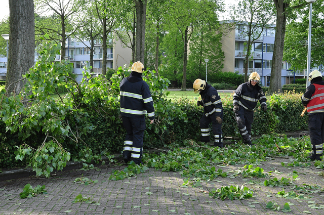Grote tak op wegdek aan de Baardwijksestraat Waalwijk