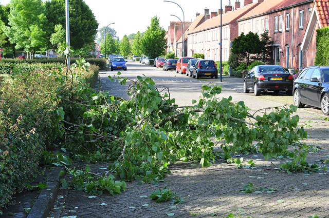 Grote tak op wegdek aan de Baardwijksestraat Waalwijk