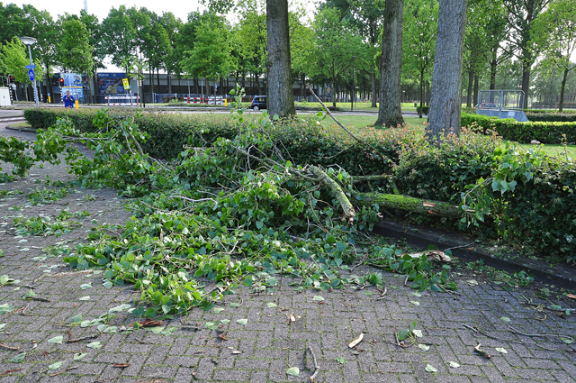 Grote tak op wegdek aan de Baardwijksestraat Waalwijk