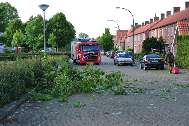 Grote tak op wegdek aan de Baardwijksestraat Waalwijk