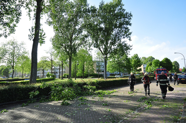 Grote tak op wegdek aan de Baardwijksestraat Waalwijk