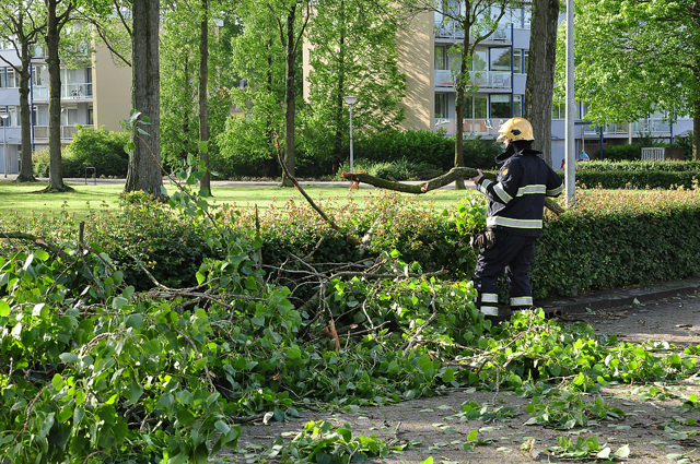 Grote tak op wegdek aan de Baardwijksestraat Waalwijk