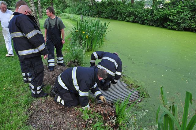 Jong eendje vast in duiker aan de Meerdijk Waalwijk