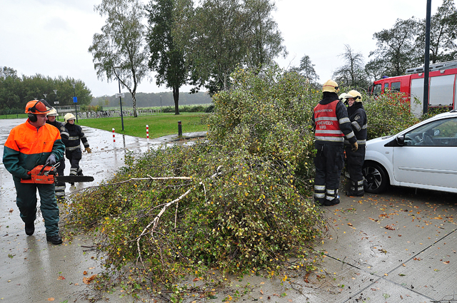 Boom breekt af op zwembad terrein aan de Drunenseweg Waalwijk