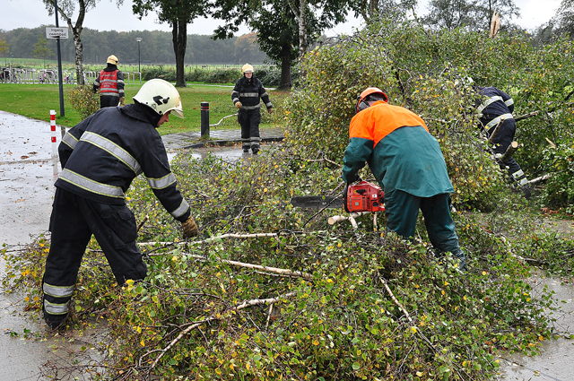Boom breekt af op zwembad terrein aan de Drunenseweg Waalwijk