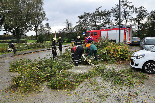 Boom breekt af op zwembad terrein aan de Drunenseweg Waalwijk