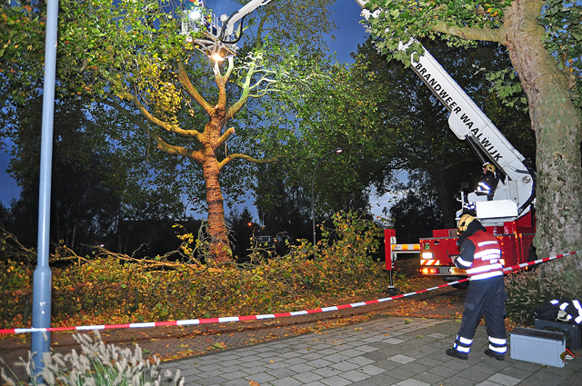 Grote gevaarlijke hangende tak boven wegdek aan de Burgemeester van der Klokkenlaan Waalwijk