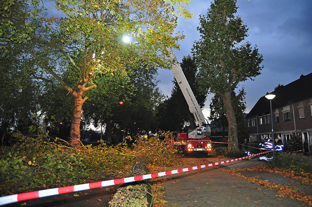 Grote gevaarlijke hangende tak boven wegdek aan de Burgemeester van der Klokkenlaan Waalwijk