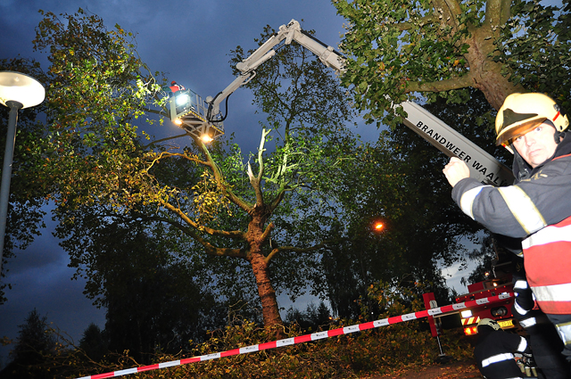 Grote gevaarlijke hangende tak boven wegdek aan de Burgemeester van der Klokkenlaan Waalwijk