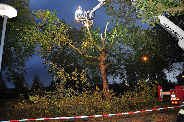 Grote gevaarlijke hangende tak boven wegdek aan de Burgemeester van der Klokkenlaan Waalwijk