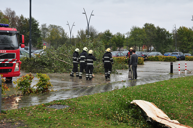 Boom breekt af op zwembad terrein aan de Drunenseweg Waalwijk
