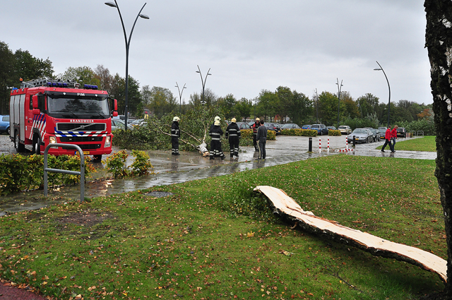 Boom breekt af op zwembad terrein aan de Drunenseweg Waalwijk