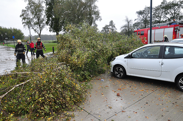 Boom breekt af op zwembad terrein aan de Drunenseweg Waalwijk