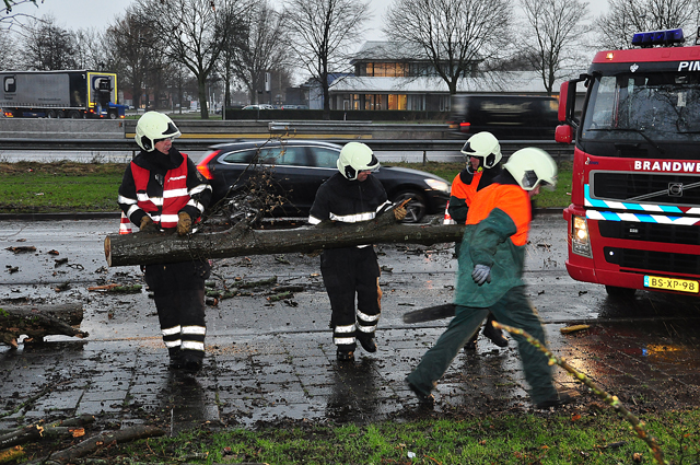 Verkeer heeft last van boom op wegdek aan de Taxandriaweg Waalwijk
