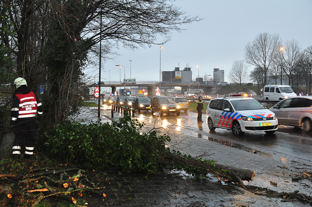 Verkeer heeft last van boom op wegdek aan de Taxandriaweg Waalwijk
