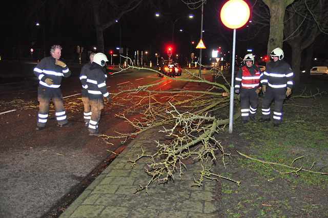 Flinke tak op wegdek aan de Beethovenlaan Waalwijk