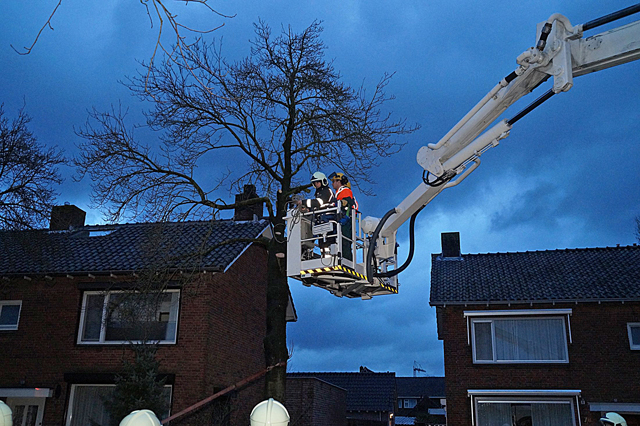 Boom dreigt om te vallen op woning aan de Van Berckenrodelaan Waalwijk