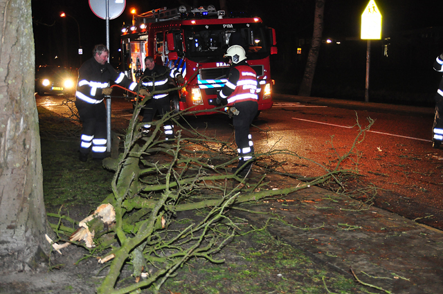 Flinke tak op wegdek aan de Beethovenlaan Waalwijk