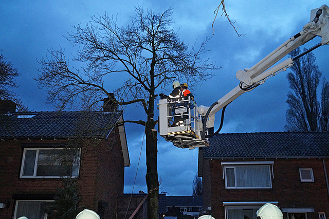 Boom dreigt om te vallen op woning aan de Van Berckenrodelaan Waalwijk