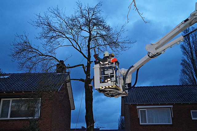 Boom dreigt om te vallen op woning aan de Van Berckenrodelaan Waalwijk