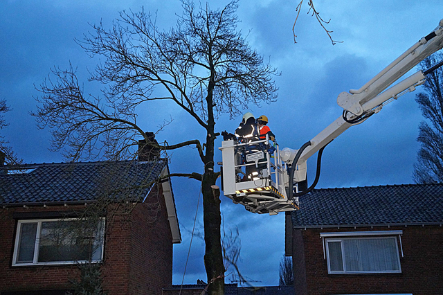 Boom dreigt om te vallen op woning aan de Van Berckenrodelaan Waalwijk