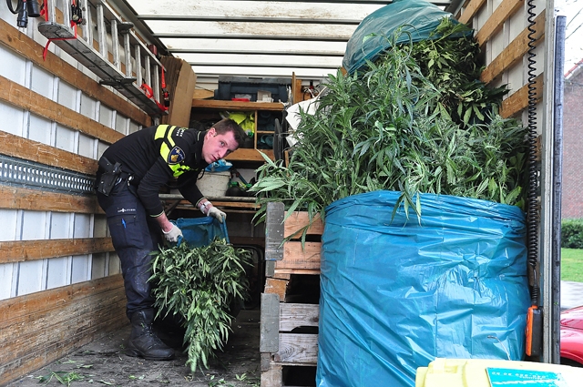 UPDATE: Slaapkamers vol met hennepplanten aan de Guido Gezellestraat Waalwijk