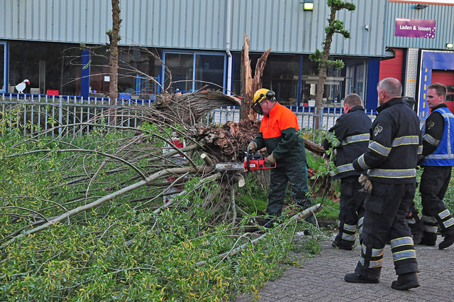 Boom op wegdek aan de Zanddonkweg Waalwijk