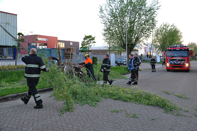 Boom op wegdek aan de Zanddonkweg Waalwijk