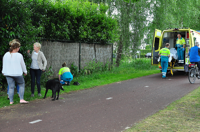 Snorfietser en fietser botsen tegen elkaar op het Halve Zolenpad Waalwijk