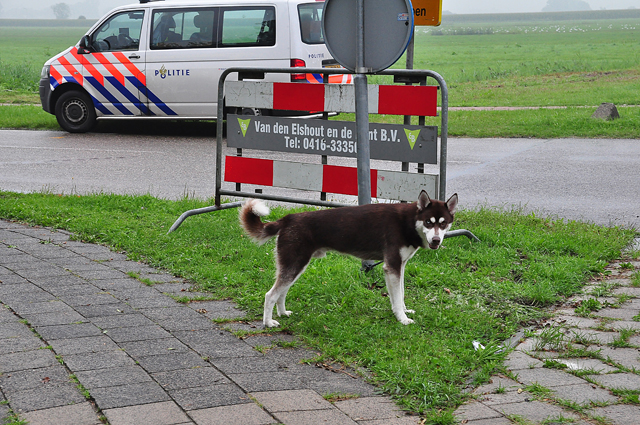 Aanrijding op beruchte kruising aan de Kloosterheulweg Waalwijk
