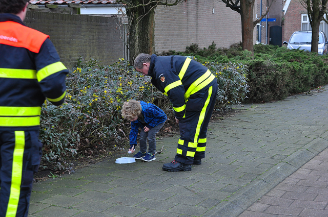 Kat zit dagen lang in boom aan de Baardwijksestraat Waalwijk