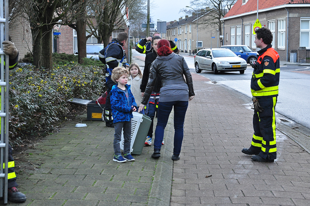 Kat zit dagen lang in boom aan de Baardwijksestraat Waalwijk