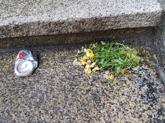 Vandalen plegen al een lange tijd vernielingen rond het oude gemeentehuis Waalwijk