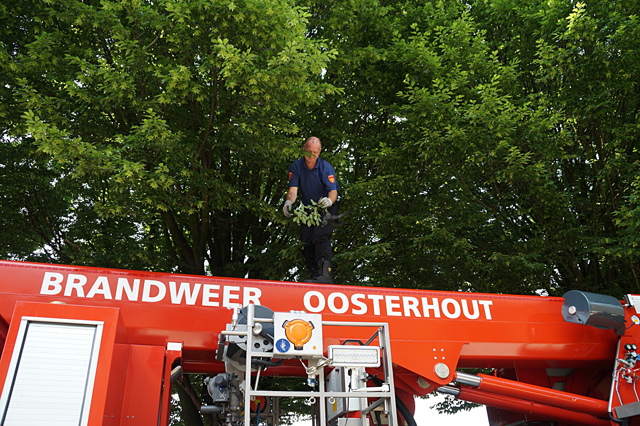 Brandweer bijna uur bezig om jonge kauw te redden aan de Van Duvenvoordestraat Waalwijk